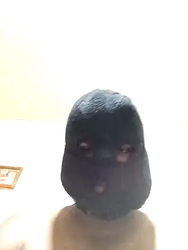 Nogeris20 online show from November 6, 2025, 3:16 pm