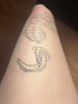 romanhrdcore online show from January 31, 2025, 9:27 am