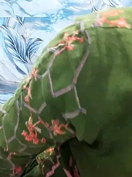 Snapshot of Sania-Love chatting on February 11, 2026, 11:15 pm Sania-Love online show from February 11, 2026, 11:15 pm