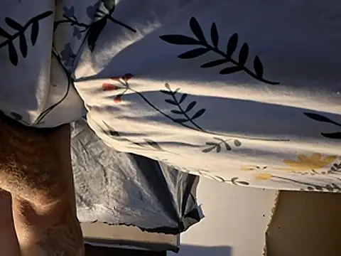 Cantufamily1979 online show from January 12, 2026, 11:17 am