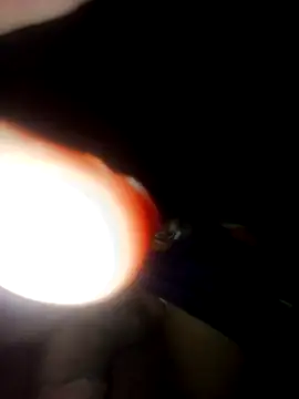 pauviciantegg online show from September 15, 2025, 2:34 am