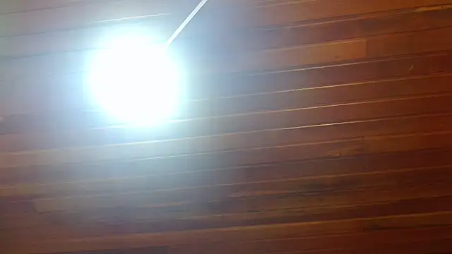 georgia oli online show from November 23, 2025, 2:21 am