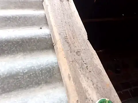 tayson  online show from October 15, 2025, 11:18 am