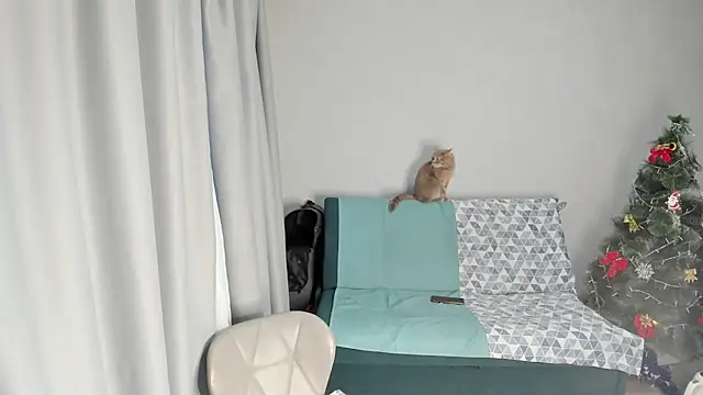 elis gabbi online show from December 19, 2025, 8:49 am