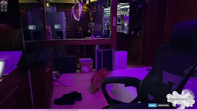 Snapshot of bearcloudcomputa chatting on March 1, 2026, 8:36 am bearcloudcomputa online show from March 1, 2026, 8:36 am