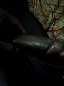 Snapshot of Antor1234 chatting on January 22, 2025, 5:59 pm Antor1234 online show from January 22, 2025, 5:59 pm