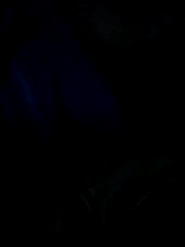 Leocesar37 online show from April 3, 2026, 4:57 pm