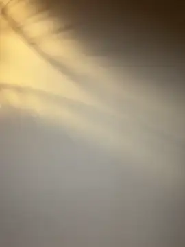 lola tentatiion online show from February 17, 2026, 9:01 pm