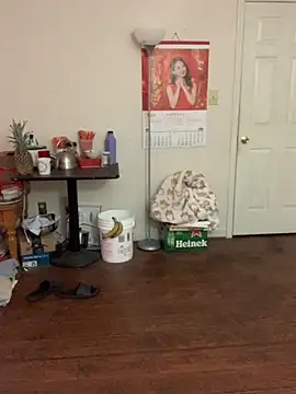 Snapshot of Mingtian4117 chatting on November 30, 2025, 2:29 pm Mingtian4117 online show from November 30, 2025, 2:29 pm