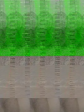 Shanaya Hotty online show from October 29, 2025, 8:19 pm