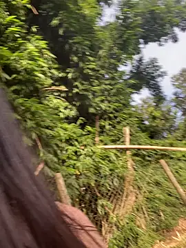 Snapshot of Morguissz chatting on February 7, 2025, 11:12 am Morguissz online show from February 7, 2025, 11:12 am