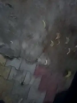 Cv 69 online show from October 21, 2025, 1:32 pm