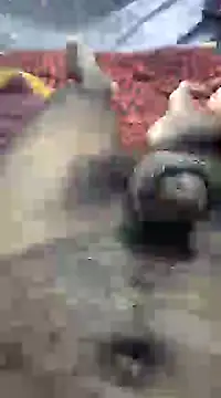 mallucallboy2104 online show from January 6, 2025, 9:32 pm