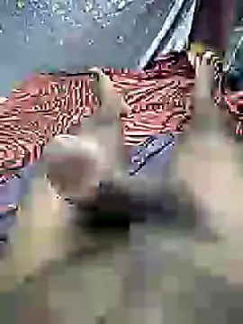 mallucallboy2104 online show from December 30, 2024, 7:21 pm