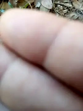 Misbion online show from November 18, 2025, 9:56 am