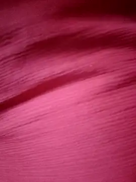 Snapshot of BERRY_00 chatting on April 16, 2026, 10:38 am BERRY 00 online show from April 16, 2026, 10:38 am