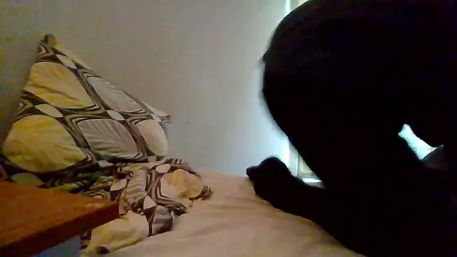 lusluk online show from December 30, 2024, 3:34 pm