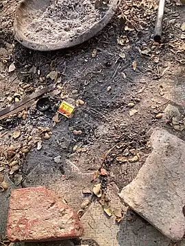 satrr xxx online show from November 27, 2025, 4:57 am