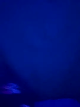 Kasandra Ho online show from December 13, 2025, 8:04 pm