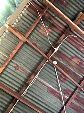 SEXY TOKYOxxx online show from December 15, 2025, 5:57 am