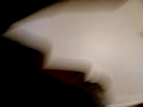 willywonka7793 online show from December 16, 2024, 5:33 pm