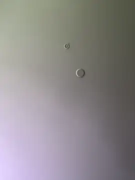 Snapshot of themasteer69 chatting on January 16, 2025, 8:03 pm themasteer69 online show from January 16, 2025, 8:03 pm