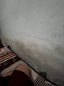 menakshiiikaur online show from December 17, 2024, 2:33 pm