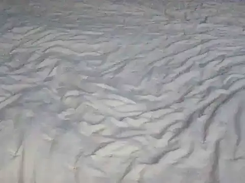 Tigerek i m online show from January 14, 2026, 7:23 am