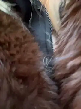 babydolll online show from December 20, 2025, 11:35 am