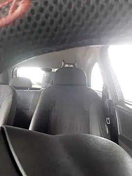 Gordinho quietinho online show from January 23, 2025, 11:26 am