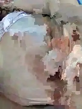 houda sex hot online show from April 9, 2026, 4:03 am