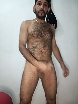 Snapshot of arqui009 chatting on February 19, 2026, 8:50 pm arqui009 online show from February 19, 2026, 8:50 pm