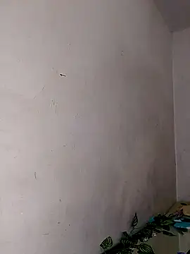 Alisson 420 online show from February 11, 2025, 6:55 pm