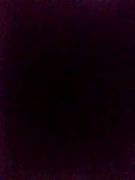 Snapshot of lovedoggy03 chatting on July 11, 2026, 2:17 pm lovedoggy03 online show from July 11, 2026, 2:17 pm