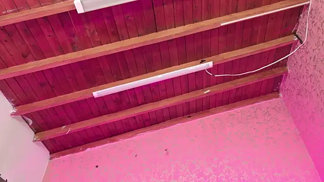 Sofia martiin online show from November 14, 2025, 3:10 am