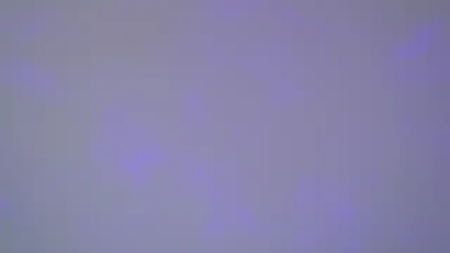 SelinSwarovski online show from November 1, 2025, 5:03 am