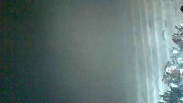 HardWolf2024 online show from December 24, 2024, 12:11 am