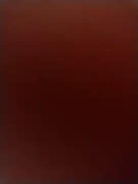 Snapshot of RobbyThrobb chatting on December 20, 2024, 5:04 am RobbyThrobb online show from December 20, 2024, 5:04 am