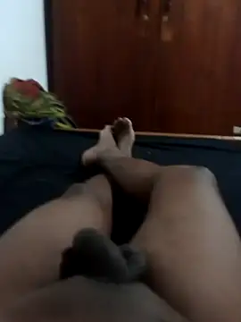 Sl python online show from December 13, 2024, 5:10 pm