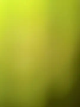 Snapshot of faaseel chatting on March 11, 2025, 8:08 am faaseel online show from March 11, 2025, 8:08 am