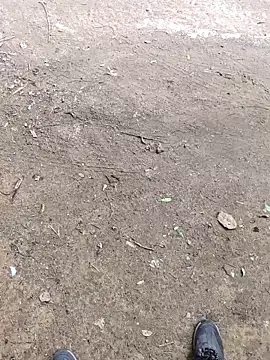 Snapshot of faaseel chatting on October 8, 2025, 7:21 am faaseel online show from October 8, 2025, 7:21 am