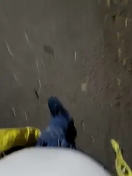 Snapshot of faaseel chatting on November 3, 2025, 12:42 pm faaseel online show from November 3, 2025, 12:42 pm