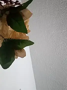 Naomy veracruz  online show from February 24, 2026, 10:05 am