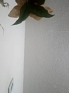 Naomy veracruz  online show from April 12, 2026, 11:02 am