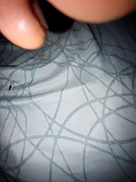 Snapshot of lemon69Reo chatting on November 6, 2025, 5:44 am lemon69Reo online show from November 6, 2025, 5:44 am