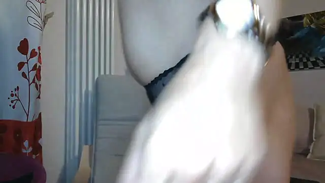 Snapshot of MISXY chatting on September 12, 2025, 8:36 am MISXY online show from September 12, 2025, 8:36 am