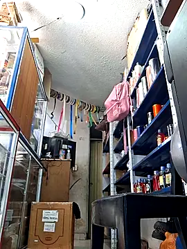 nidia2026 online show from February 9, 2026, 2:15 pm