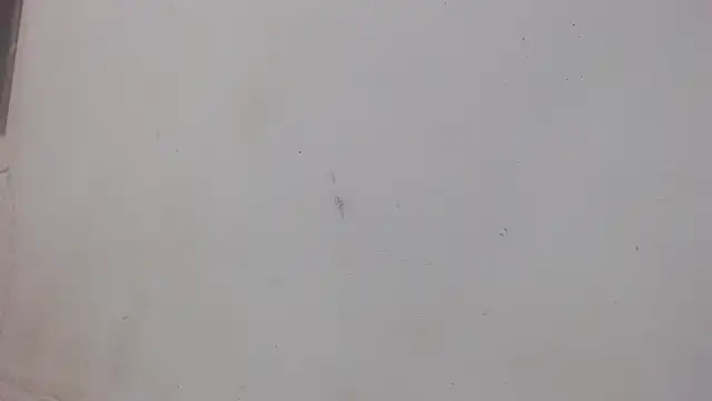 Snapshot of danilo302209 chatting on February 1, 2025, 1:02 am danilo302209 online show from February 1, 2025, 1:02 am