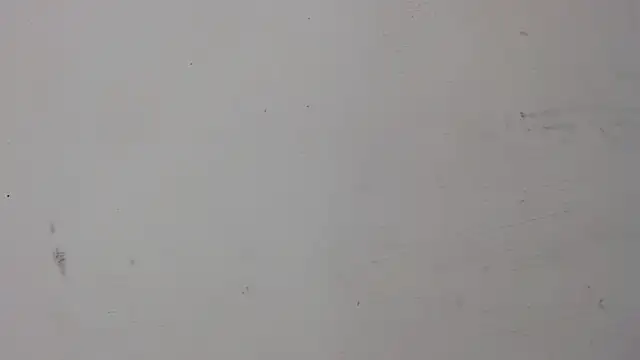 Snapshot of danilo302209 chatting on January 24, 2025, 5:53 pm danilo302209 online show from January 24, 2025, 5:53 pm