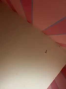 Snapshot of mikeJak chatting on March 23, 2025, 7:09 am mikeJak online show from March 23, 2025, 7:09 am